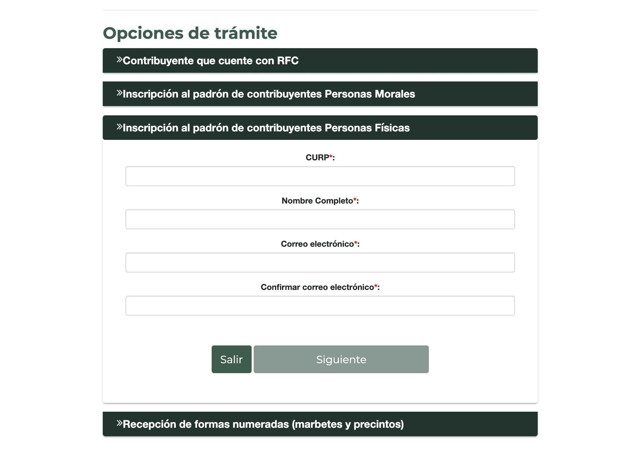 Formulario de registro en el portal CitaSAT para inscripción al padrón de contribuyentes personas físicas, solicitando CURP, nombre completo y correo electrónico